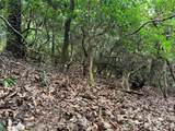 000 Wilson Road - Photo 37