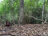 000 Wilson Road - Photo 40