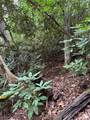 000 Wilson Road - Photo 8