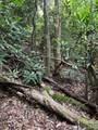 000 Wilson Road - Photo 9