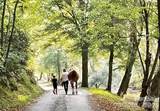 2.15 acres, Lot 149, Rocky Falls Lane - Photo 25