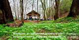 2.15 acres, Lot 149, Rocky Falls Lane - Photo 27