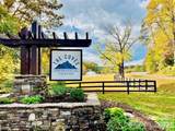 2.15 acres, Lot 149, Rocky Falls Lane - Photo 6