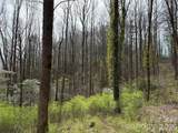 L8 Black Bear Court - Photo 1