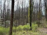 L8 Black Bear Court - Photo 2