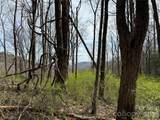 L8 Black Bear Court - Photo 3