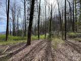 L8 Black Bear Court - Photo 7