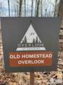 L8 Black Bear Court - Photo 10