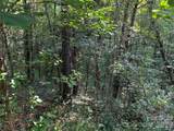 99999 Elk Mountain Ridge - Photo 14