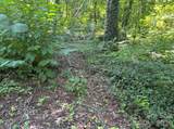 0 Rock Broad River Road - Photo 12
