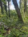 0 Rock Broad River Road - Photo 5