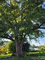 2703 Prospect Church Road - Photo 15