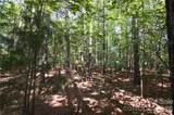 3009 Ashwood Park Drive - Photo 12