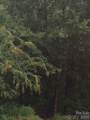 223 Gunsite Road - Photo 1