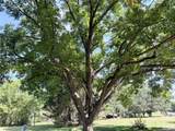 715 Grandview Road - Photo 25