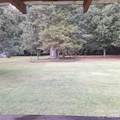 683 Loblolly Trail - Photo 14