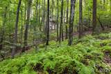22 Wild Violet Lane - Photo 46