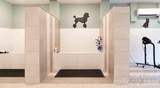 5350 Pinehurst Park Drive - Photo 9
