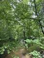 1060 Old Ballpark Road - Photo 4