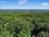 8876 Tallow Tree Road - Photo 39