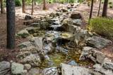 17 Falling Waters Trail - Photo 38