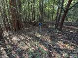 TBD Wolf Pen Road - Photo 11