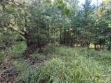 TBD Wolf Pen Road - Photo 8