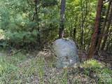 TBD Wolf Pen Road - Photo 9