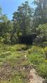 188 Velvis Hollifield Road - Photo 5