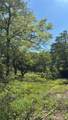188 Velvis Hollifield Road - Photo 9