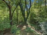 151 Tiger Lily Lane - Photo 8