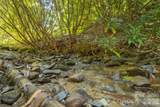 1221 Sam Cove - Photo 38