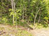 464 Mayapple Lane - Photo 21
