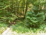 464 Mayapple Lane - Photo 24