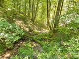 464 Mayapple Lane - Photo 27