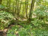 464 Mayapple Lane - Photo 28