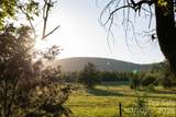 490 Bringle Ferry Road - Photo 43