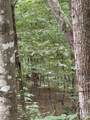 411 Cabin Cove Lane - Photo 41