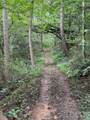 411 Cabin Cove Lane - Photo 43