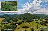 316 Stevenson Cove Road - Photo 10