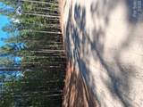 15 Vein Mountain Road - Photo 8