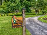 170 Twin Springs Road - Photo 4