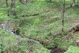 0000 Big Spring Trail - Photo 12
