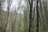0000 Big Spring Trail - Photo 14
