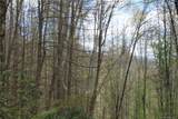 0000 Big Spring Trail - Photo 15
