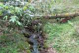 0000 Big Spring Trail - Photo 18