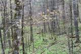 0000 Big Spring Trail - Photo 20