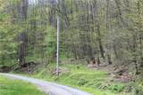 0000 Big Spring Trail - Photo 3