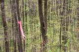 0000 Big Spring Trail - Photo 22
