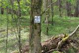 0000 Big Spring Trail - Photo 4